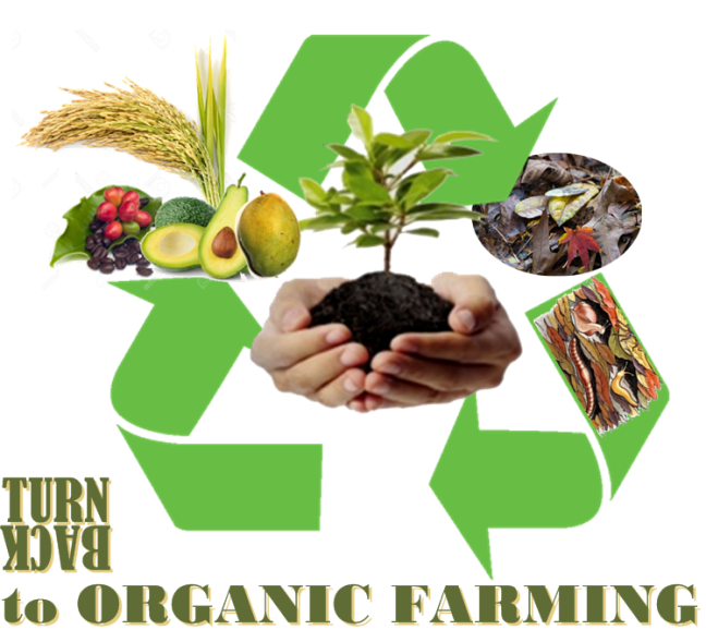 return  to organic farming